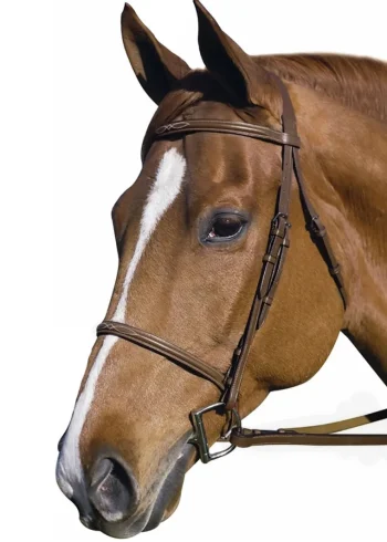 Outlet JPC EQUESTRIAN Henri De Rivel Pro Fancy Raised Bridle With Laced Reins