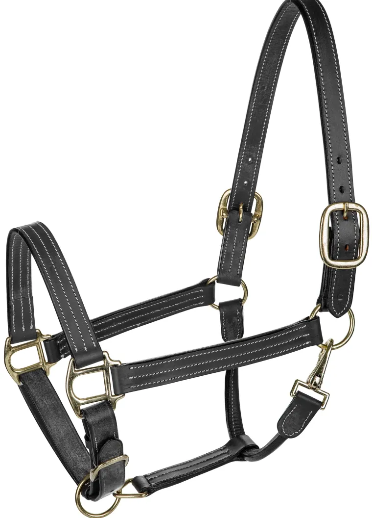 henri-de-rivel-triple-stitched-KUxFgSqh-0.webp New JPC EQUESTRIAN Henri De Rivel Triple-Stitched Halter