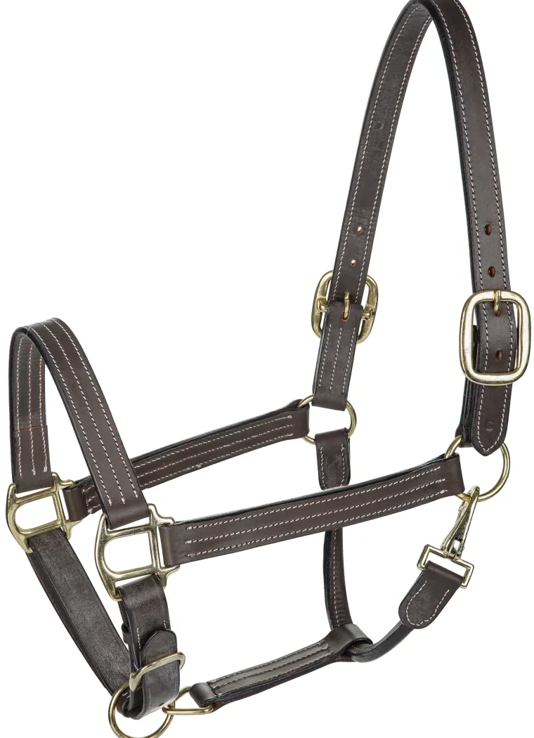 henri-de-rivel-triple-stitched-KUxFgSqh-1.webp New JPC EQUESTRIAN Henri De Rivel Triple-Stitched Halter
