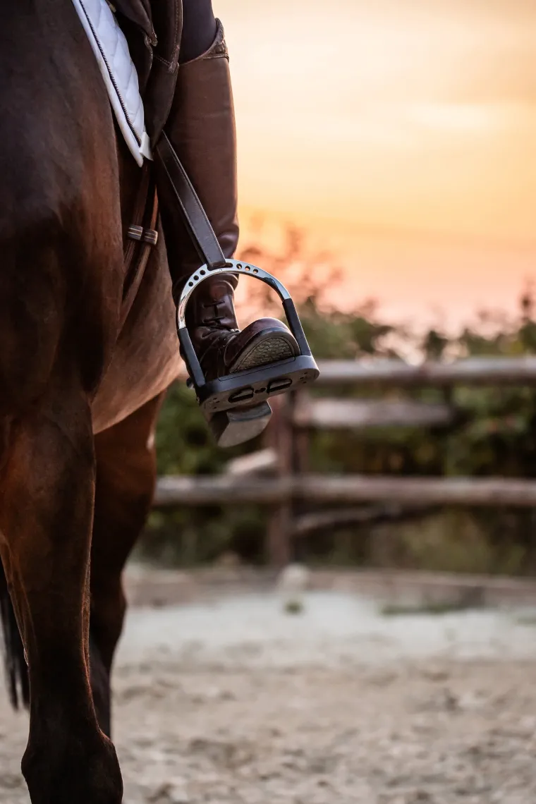 herm-sprenger-flexcite-stirrup-lNPJNswA-2.webp Hot GEM-HERM SPRENGER Herm Sprenger® Flexcite Stirrups Silver/Black