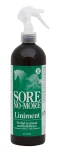 Sale RJ MATTHEWS Arenus® Sore No-More® Classic Liniment