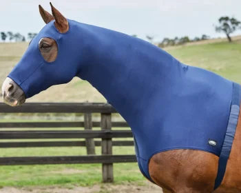 Fashion WEATHERBEETA ® Stretch Hood with Zipper Navy