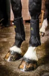 horseware-ireland-adagio-boots-eRxGQWOV-0.webp