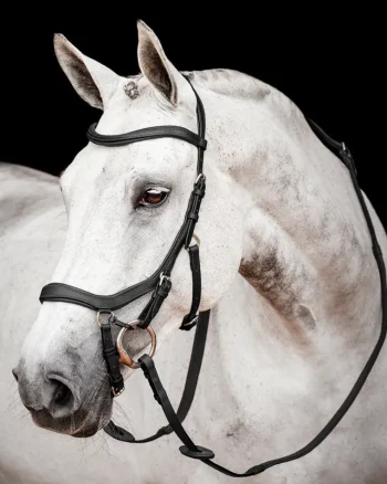 Best HORSEWARE ® Ireland Micklem2 Competition Bridle With Reins