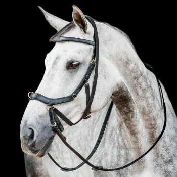 Best HORSEWARE ® Ireland Micklem2 Multibridle USA With Reins
