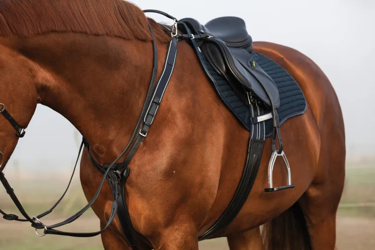 horseware-rambo-micklem-three-puXiHkgd-6.webp Hot HORSEWARE ® Rambo® Micklem® Three-Point Breastplate
