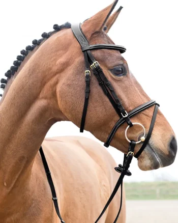 Discount EQUINAVIA Horze Constance Padded Flash Snaffle Bridle