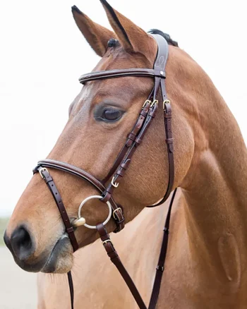 Discount EQUINAVIA Horze Constance Padded Flash Snaffle Bridle