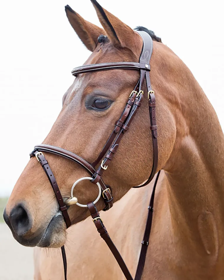horze-constance-padded-flash-s-oNOeezMC-1.webp Discount EQUINAVIA Horze Constance Padded Flash Snaffle Bridle