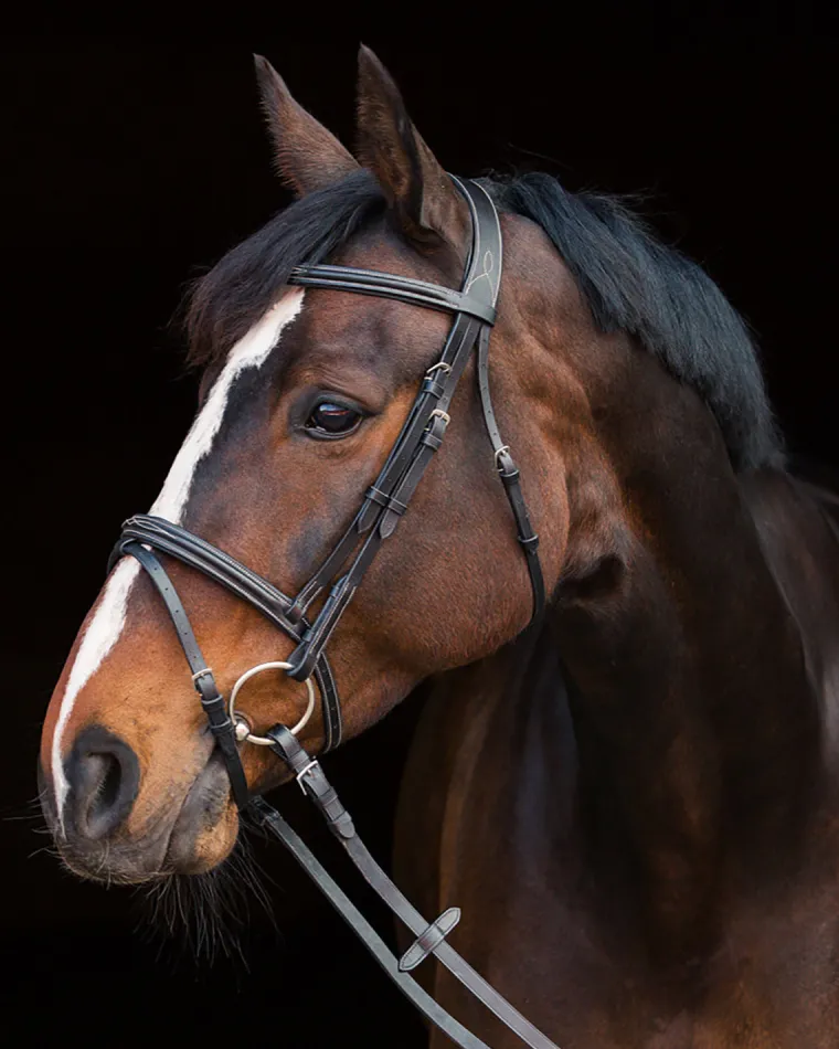 horze-constance-padded-flash-s-oNOeezMC-3.webp Discount EQUINAVIA Horze Constance Padded Flash Snaffle Bridle