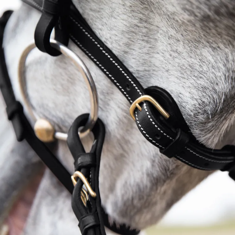 horze-constance-padded-flash-s-oNOeezMC-4.webp Discount EQUINAVIA Horze Constance Padded Flash Snaffle Bridle