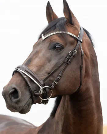 Hot EQUINAVIA Horze Grayson Snaffle Bridle