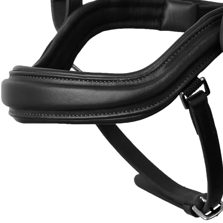 horze-highbury-anatomical-crys-NGAkrVxe-4.webp Hot EQUINAVIA Horze Highbury Anatomical Crystal Dressage Bridle