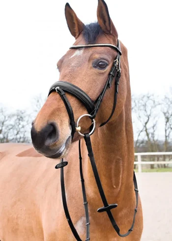 New EQUINAVIA Horze Lester Snaffle Bridle