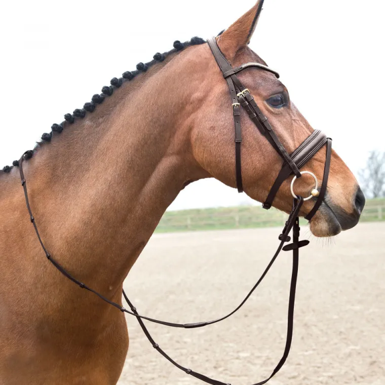horze-lester-snaffle-bridle-WtinstjT-5.webp New EQUINAVIA Horze Lester Snaffle Bridle