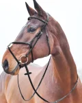 horze-prescott-figure-8-bridle-eyLhkcKn-0.webp
