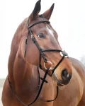horze-prescott-figure-8-bridle-eyLhkcKn-0.webp