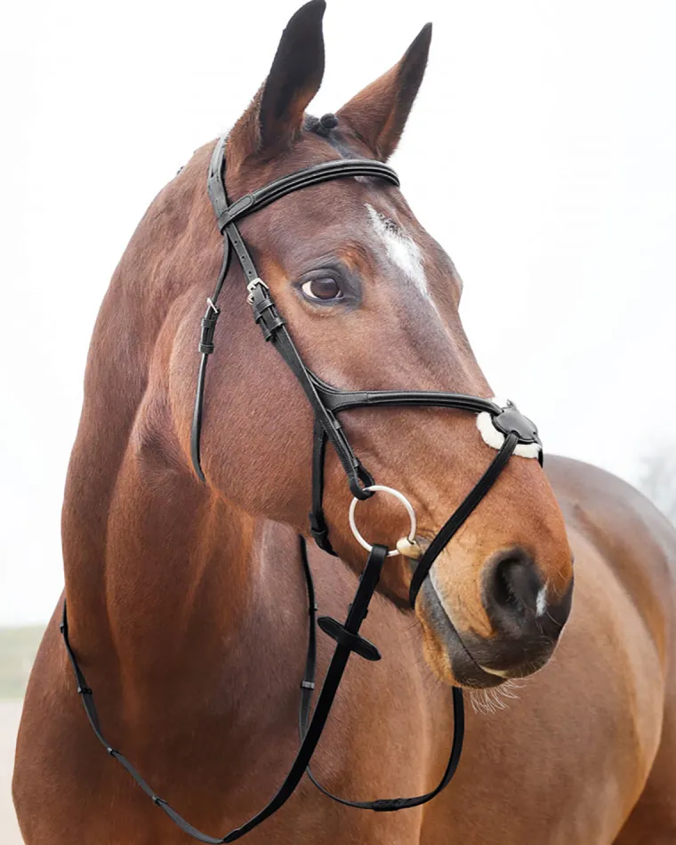 horze-prescott-figure-8-bridle-eyLhkcKn-2.webp Fashion EQUINAVIA Horze Prescott Figure-8 Bridle