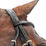 horze-prescott-figure-8-bridle-eyLhkcKn-0.webp