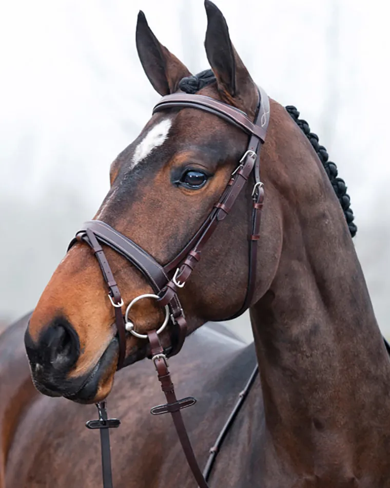 horze-venice-snaffle-bridle-eKyENSxx-4.webp Clearance EQUINAVIA Horze Venice Snaffle Bridle