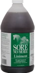 Clearance RJ MATTHEWS Arenus® Sore No-More® Classic Liniment