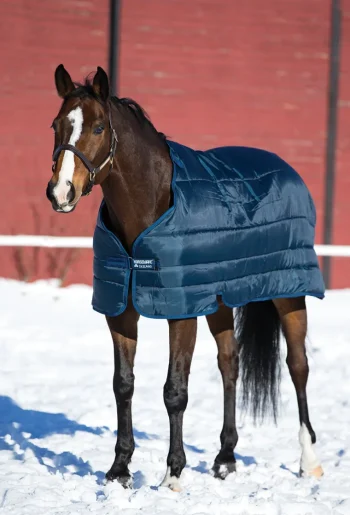 Fashion HORSEWARE ® Ireland 300 Gram Blanket Liner Navy/Navy