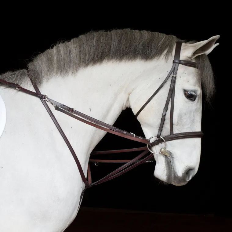 iZOpuqZB_0.webp Outlet TORY LEATHER Company German Martingale Rein Set