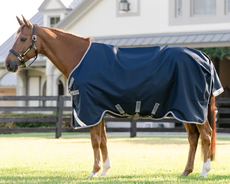 iuVRGsqL_1.webp Outlet HORSEWARE ® Ireland Amigo® 1200D Turnout Sheet Standard Neck