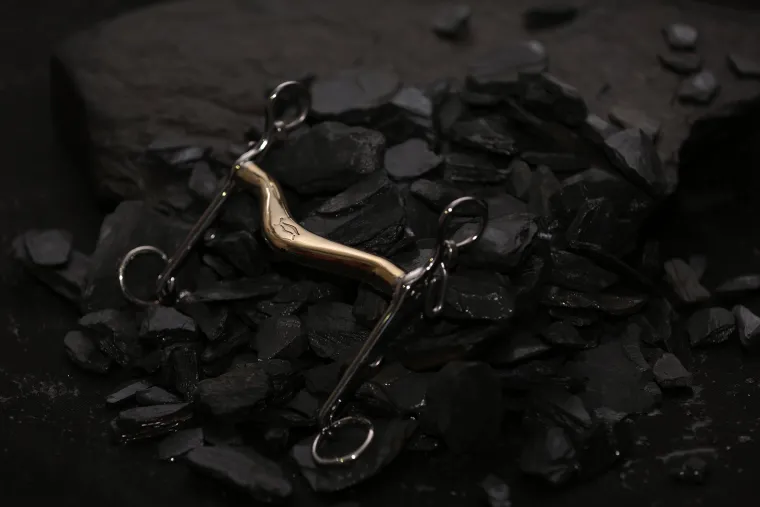 iwQKjlGH_1.webp New METLAR/NEUE SCHULE Neue Schule Turtle Tilt™ Weymouth with 14mm Mouth 5cm Shank Salox Gold