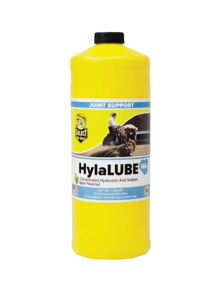 jNXKdYwg_0.webp Sale ANIMAL HEALTH INT Select the Best® HylaLUBE™ - Quart