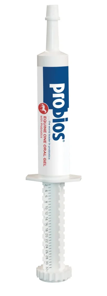 Online ANIMAL HEALTH INT Probios® Gel Digestive Supplement