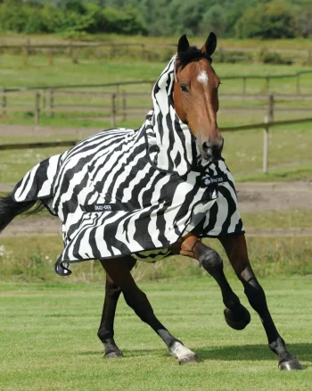 Outlet TOKLAT ORIGINALS Bucas Buzz-Off Fly Sheet with High Neck Zebra