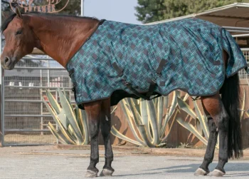 Outlet KENSINGTON ™ Pony Signature Medium Weight Turnout Blanket