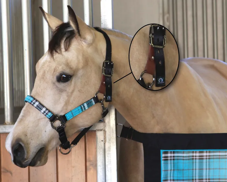 kensington-premium-breakaway-h-ubBhECxL-3.webp Online KENSINGTON ™ Premium Breakaway Halter