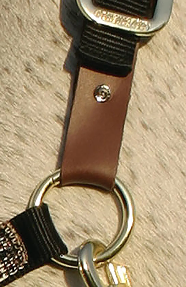 kensington-premium-breakaway-h-ubBhECxL-5.webp Online KENSINGTON ™ Premium Breakaway Halter