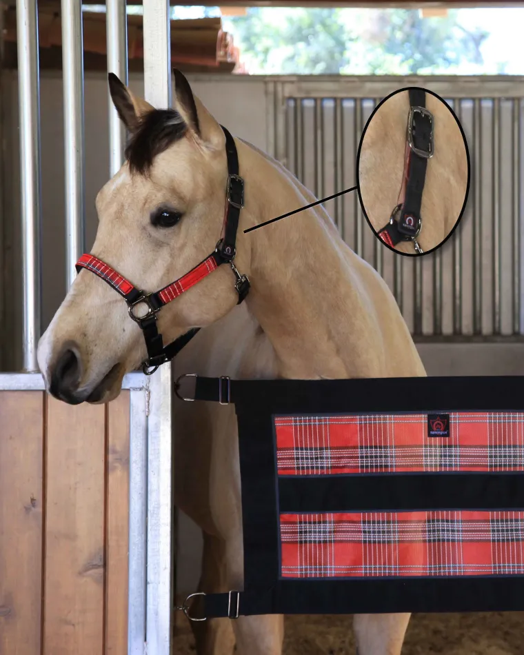 kensington-premium-breakaway-h-ubBhECxL-8.webp Online KENSINGTON ™ Premium Breakaway Halter