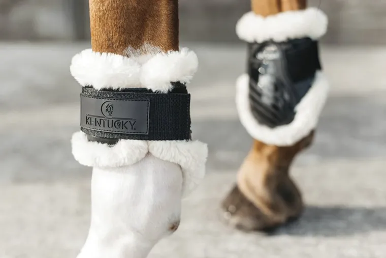 kentucky-horsewear-vegan-sheep-ZTXbFVVP-2.webp Online KENTUCKY HORSEWEAR Vegan Sheepskin Young Horse Fetlock Boots Black