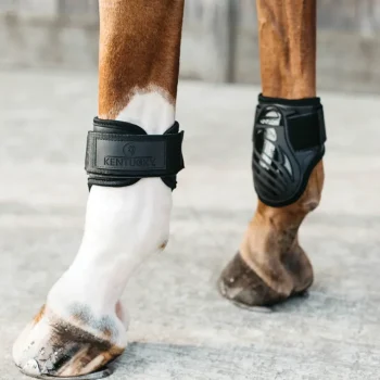 Discount KENTUCKY HORSEWEAR Young Horse Fetlock Boots Black