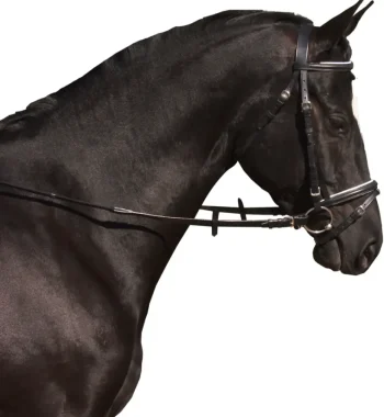 Discount KIEFFER SATTLERWAREN Kieffer Ergonomic III Snaffle Bridle