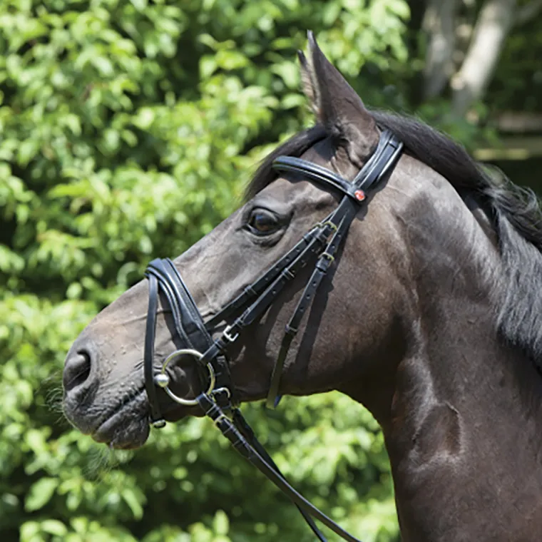 kieffer-perseus-clincher-snaff-iebqdMtu-0.webp Best KIEFFER SATTLERWAREN Kieffer Perseus Clincher Snaffle Bridle Black/Black