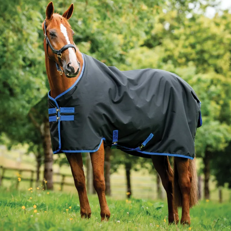 kjrnoTDm_1.webp Outlet HORSEWARE ® Ireland Amigo® Ripstop 900D 50 Gram Standard Neck Turnout
