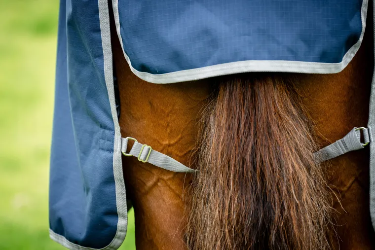 kjrnoTDm_4.webp Outlet HORSEWARE ® Ireland Amigo® Ripstop 900D 50 Gram Standard Neck Turnout