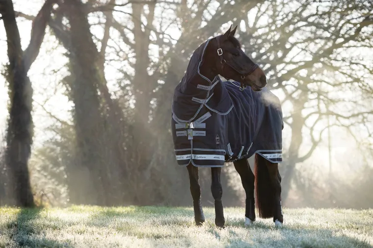 kzBqvRhj_0.webp Sale HORSE HEALTH TRADE LeMieux® Arika Storm-Tek 350 Gram Turnout Blanket Navy