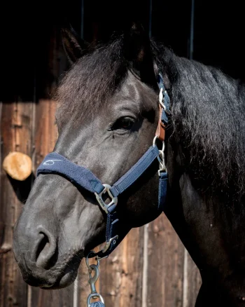 Sale PARTRADE Lami-Cell Fleece-Lined Halter