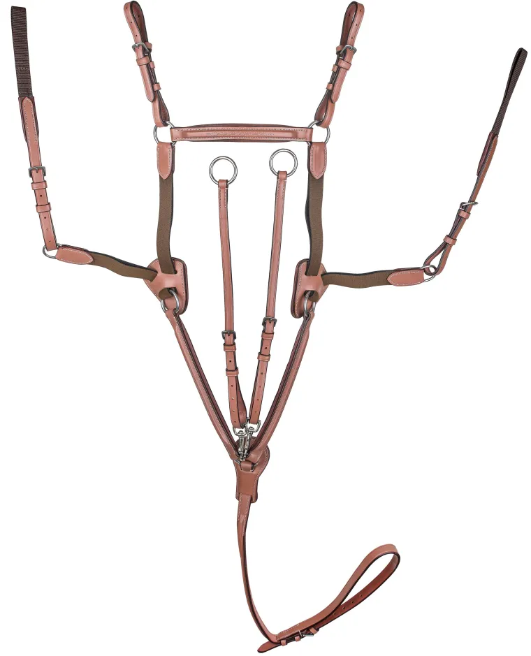 laureate-by-henri-de-rivel-rai-GXWJVDnf-0.webp Best JPC EQUESTRIAN Laureate By Henri De Rivel Raised Fancy-Stitched 5-Point Breastplate With Running Attachment Oakbark