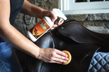 Best ANIMAL HEALTH INT Leather Therapy® Wash