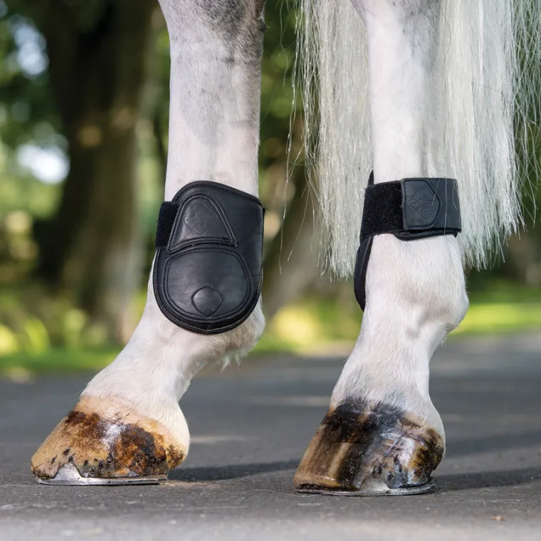 lemieux-capella-fetlock-boots-vfzuuBJF-3.webp New HORSE HEALTH TRADE LeMieux® Capella Fetlock Boots