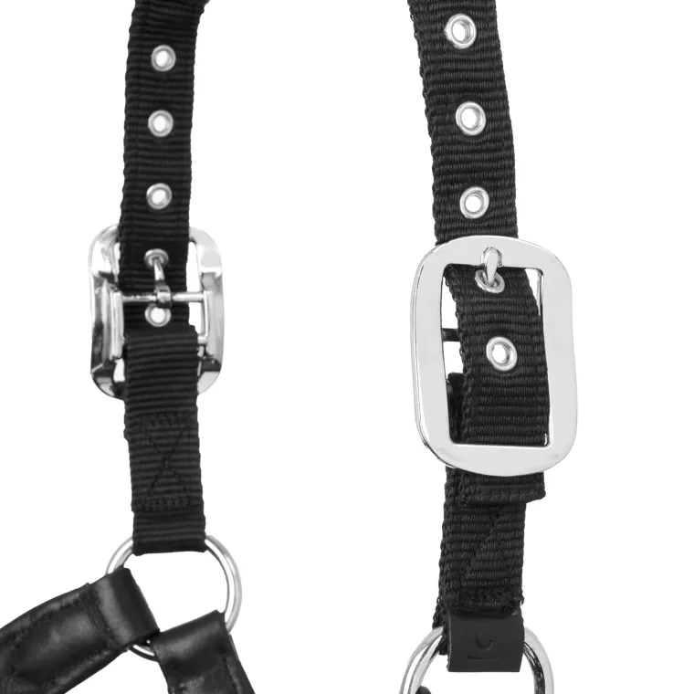 lemieux-capella-halter-SCTtWgcC-4.webp Fashion HORSE HEALTH TRADE LeMieux® Capella Halter Black
