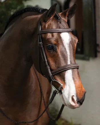 Outlet HORSE HEALTH TRADE LeMieux® Hunter-Stitched Bridle Havana