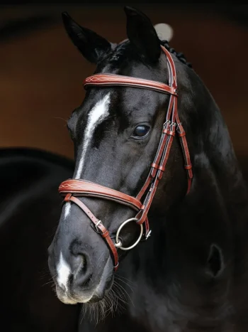 Sale HORSE HEALTH TRADE LeMieux® Kudos Competition Flash Bridle